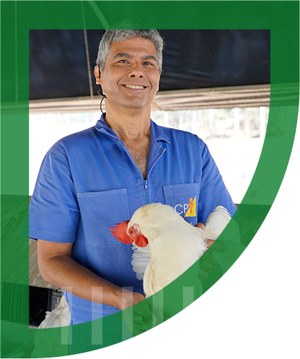 Médico veterinário sorridente segurando uma galinha branca